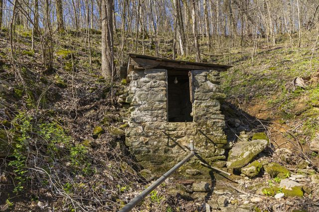 4250 Delina Rd, Cornersville, TN 37047