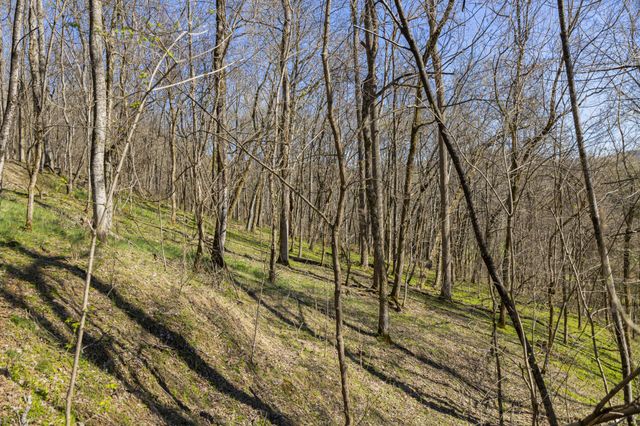 4250 Delina Rd, Cornersville, TN 37047