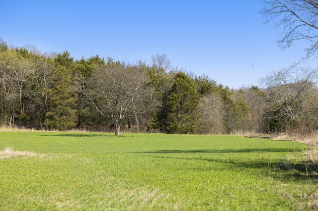 4250 Delina Rd, Cornersville, TN 37047