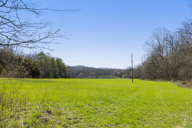 4250 Delina Rd, Cornersville, TN 37047