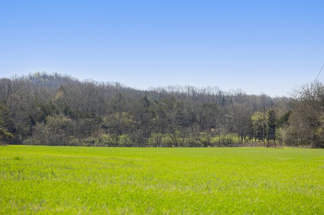 4250 Delina Rd, Cornersville, TN 37047