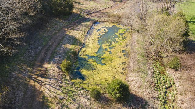 4250 Delina Rd, Cornersville, TN 37047