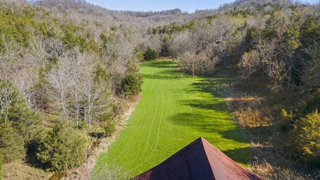 4250 Delina Rd, Cornersville, TN 37047
