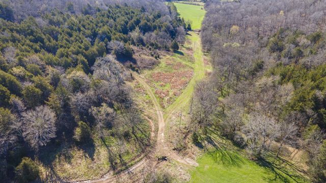 4250 Delina Rd, Cornersville, TN 37047