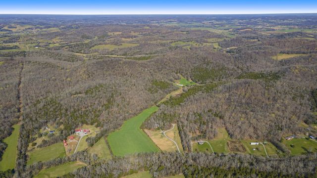 4250 Delina Rd, Cornersville, TN 37047