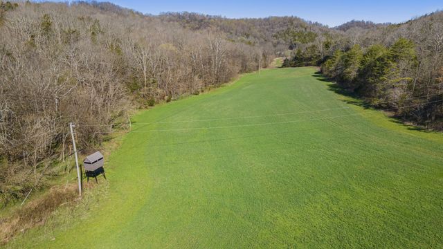 4250 Delina Rd, Cornersville, TN 37047