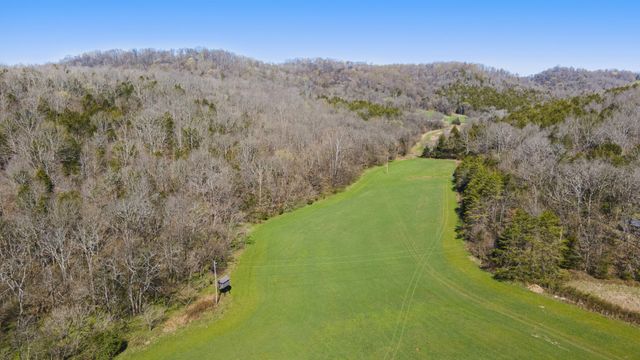 4250 Delina Rd, Cornersville, TN 37047