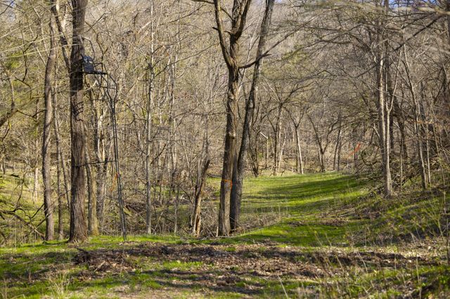 4250 Delina Rd, Cornersville, TN 37047