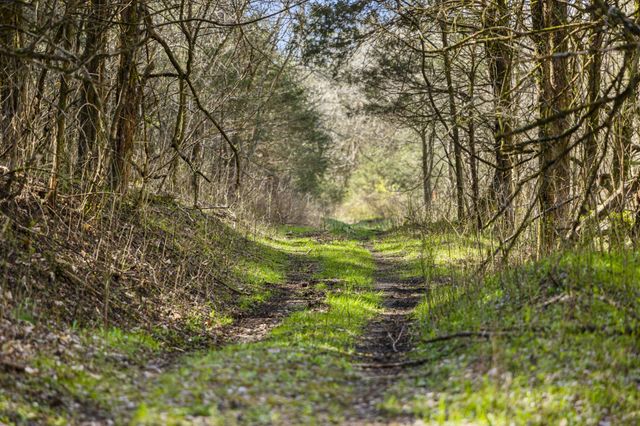4250 Delina Rd, Cornersville, TN 37047