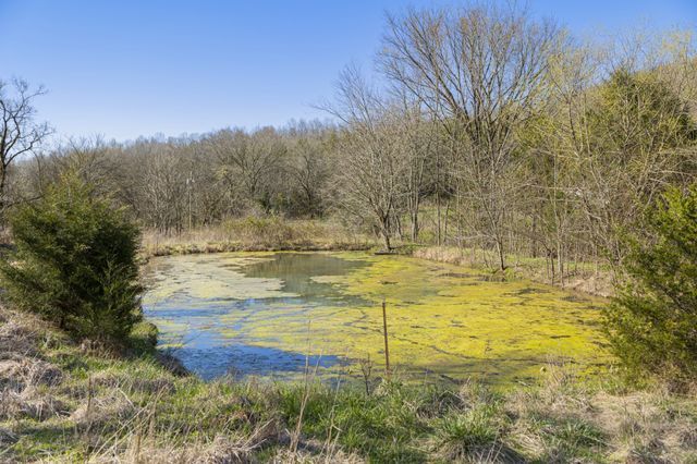 4250 Delina Rd, Cornersville, TN 37047