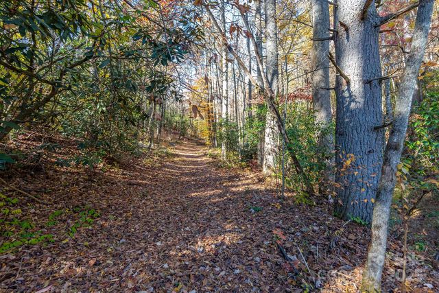 914 Catheys Creek Church Road, Brevard, NC 28712