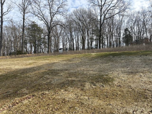 3206 Hunziker Lane, Fairview, TN 37062