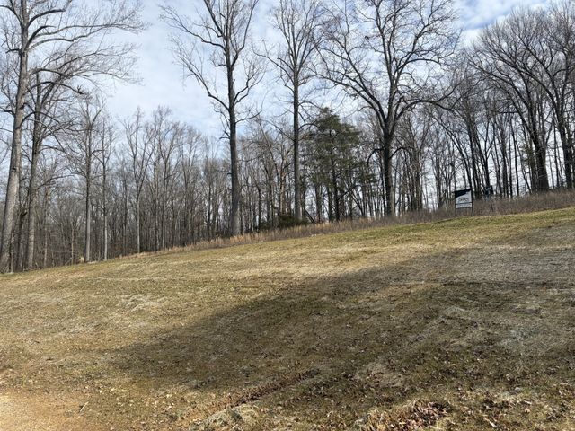 3206 Hunziker Lane, Fairview, TN 37062