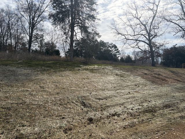 3206 Hunziker Lane, Fairview, TN 37062