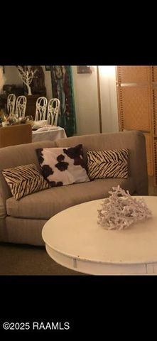 603 N Polk Street, Rayne, LA 70578