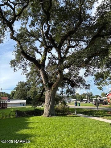 603 N Polk Street, Rayne, LA 70578