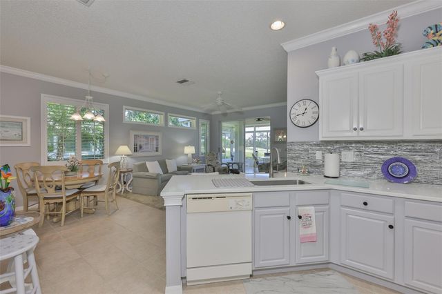 1205 FAIRWAY GREENS DRIVE 58, Sun City Center, FL 33573