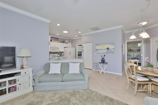 1205 FAIRWAY GREENS DRIVE 58, Sun City Center, FL 33573