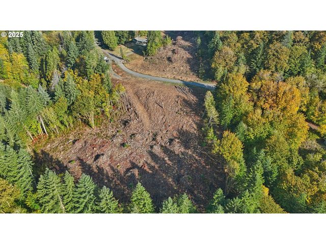 0 Whitewater Rd 13, Longview, WA 98632