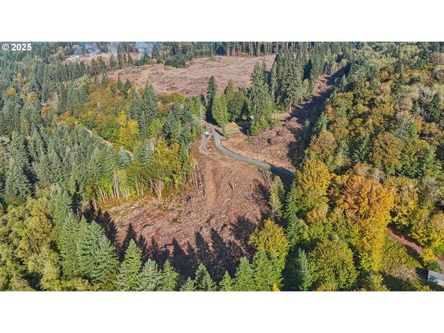 0 Whitewater Rd 13, Longview, WA 98632