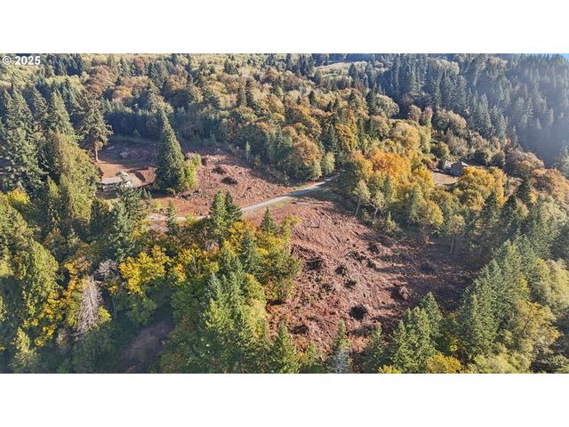 0 Whitewater Rd 13, Longview, WA 98632