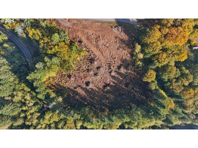 0 Whitewater Rd 13, Longview, WA 98632