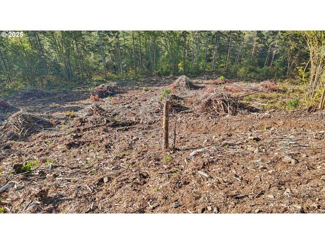 0 Whitewater Rd 13, Longview, WA 98632