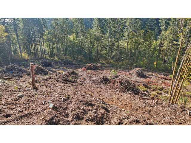 0 Whitewater Rd 13, Longview, WA 98632