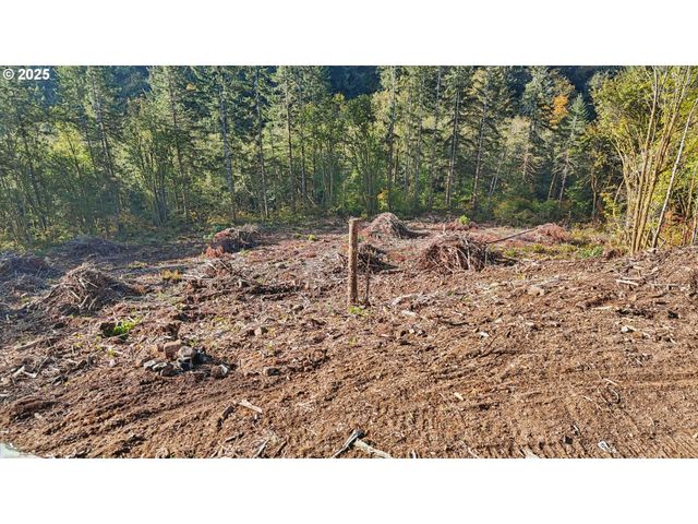 0 Whitewater Rd 13, Longview, WA 98632