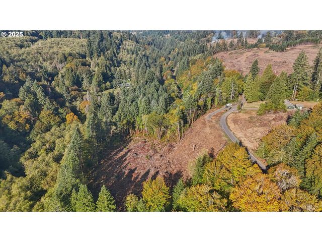 0 Whitewater Rd 13, Longview, WA 98632