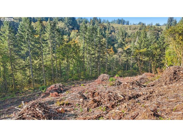 0 Whitewater Rd 13, Longview, WA 98632