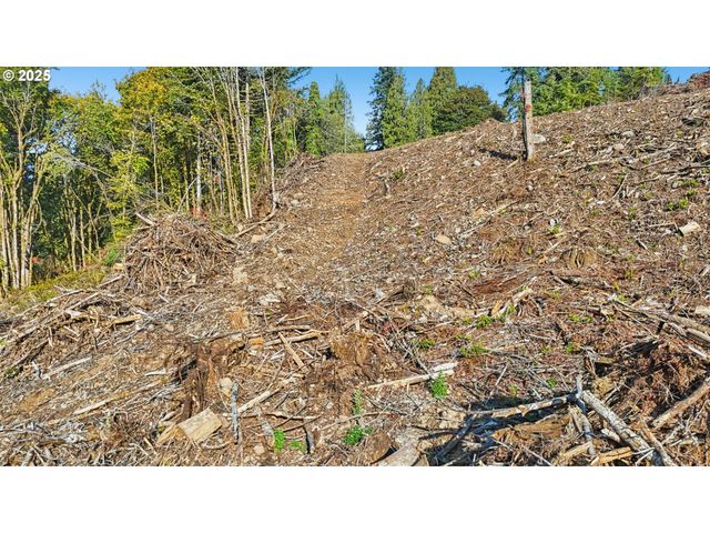 0 Whitewater Rd 13, Longview, WA 98632