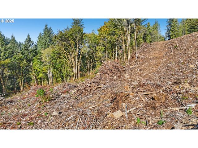 0 Whitewater Rd 13, Longview, WA 98632