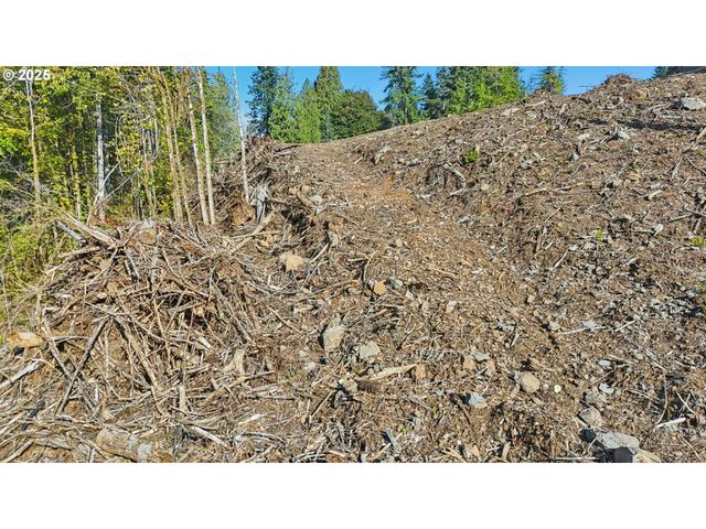 0 Whitewater Rd 13, Longview, WA 98632