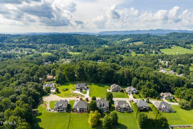 172 Sugarcane Lane, Blountville, TN 37617