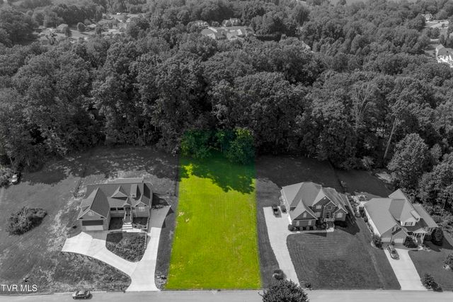 172 Sugarcane Lane, Blountville, TN 37617