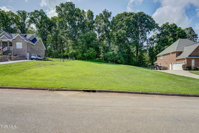 172 Sugarcane Lane, Blountville, TN 37617