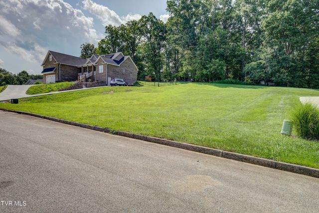 172 Sugarcane Lane, Blountville, TN 37617