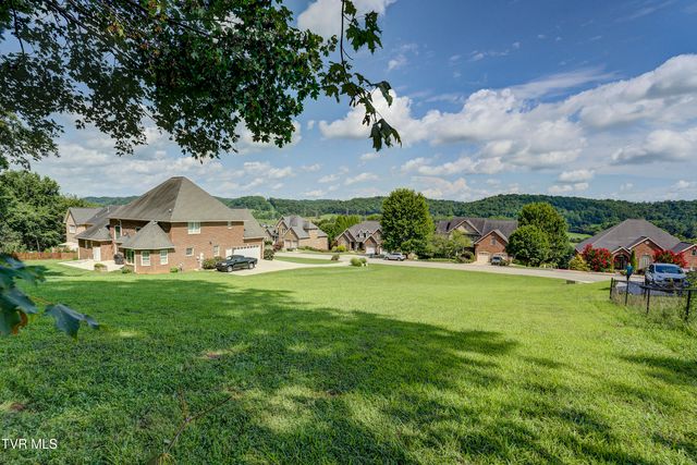 172 Sugarcane Lane, Blountville, TN 37617