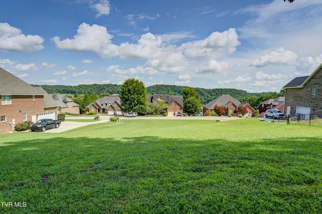172 Sugarcane Lane, Blountville, TN 37617