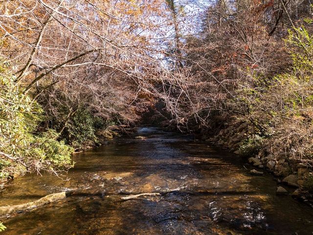 1214 John Abernathy Road, Blairsville, GA 30512
