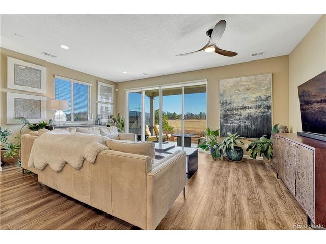 448 Blue Teal Dr, Castle Rock, CO 80104