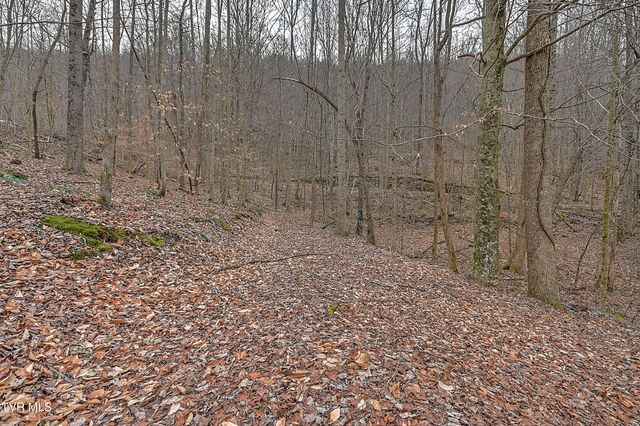 190 Cactus Drive, Jonesville, VA 24263