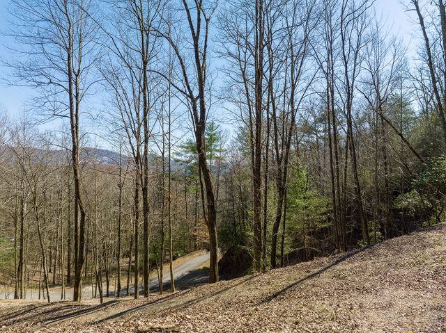 LOT 508 Chicasaw Drive, Ellijay, GA 30540