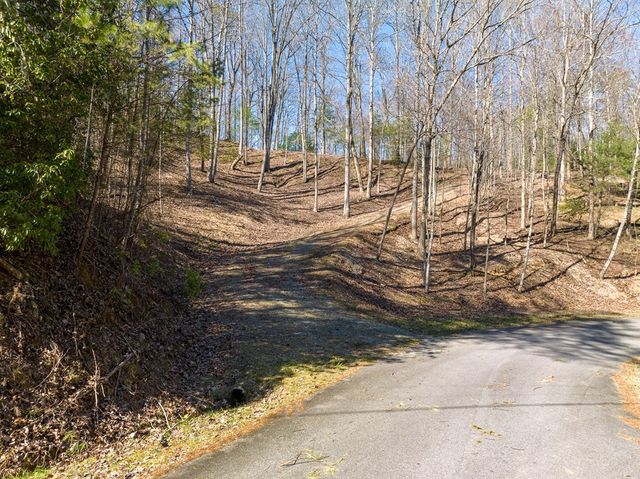 LOT 508 Chicasaw Drive, Ellijay, GA 30540