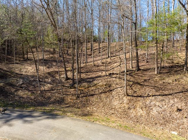 LOT 508 Chicasaw Drive, Ellijay, GA 30540