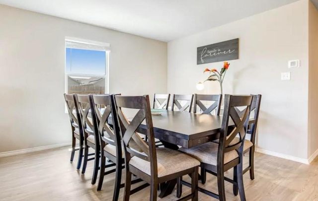 1927 Grey Catbird ST, New Braunfels, TX 78130