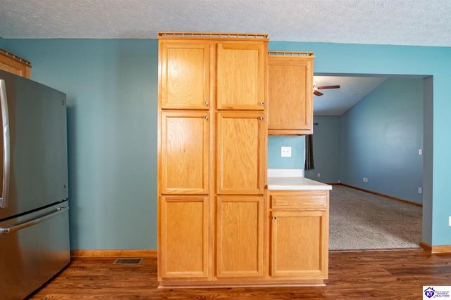 260 Cassies Way, Vine Grove, KY 40175