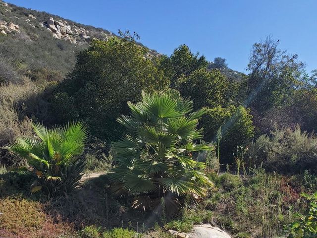 1088 Deer Springs Rd, San Marcos, CA 92069