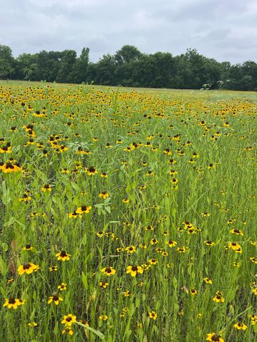 TBD CR 3525, Honey Grove, TX 75446